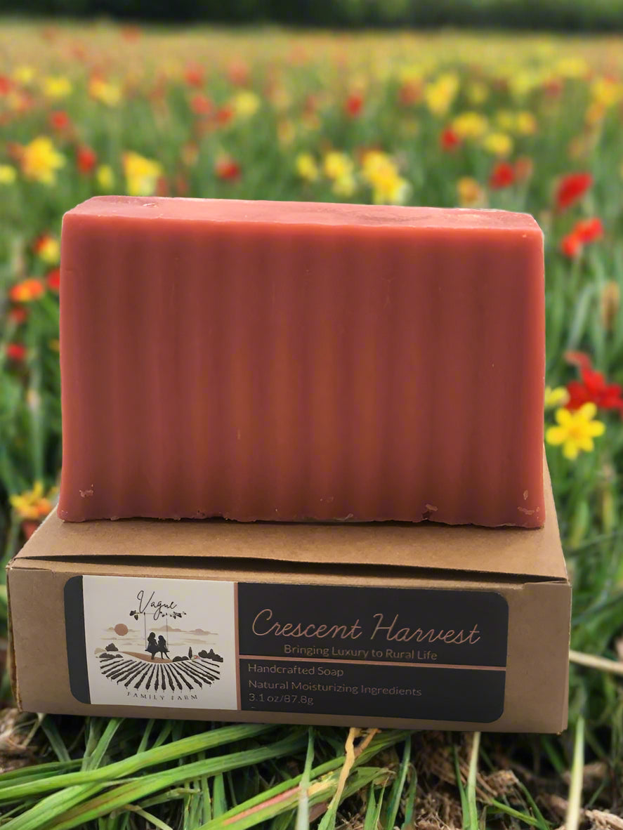 Shea Butter - Crescent Harvest